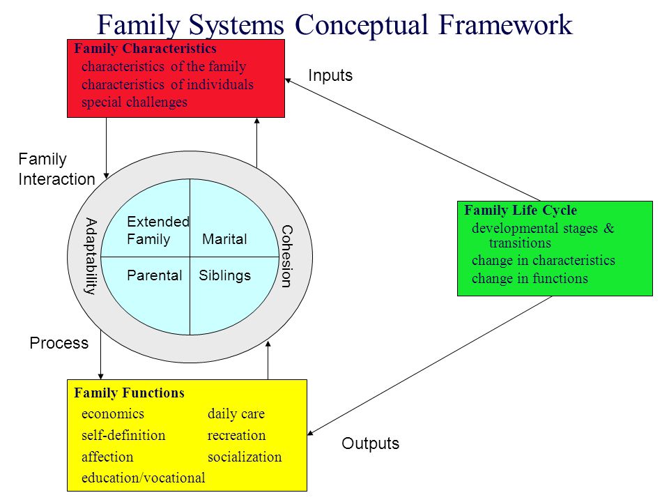 Conceptual definition of family